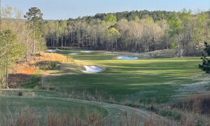 FarmLinks at Pursell Farms