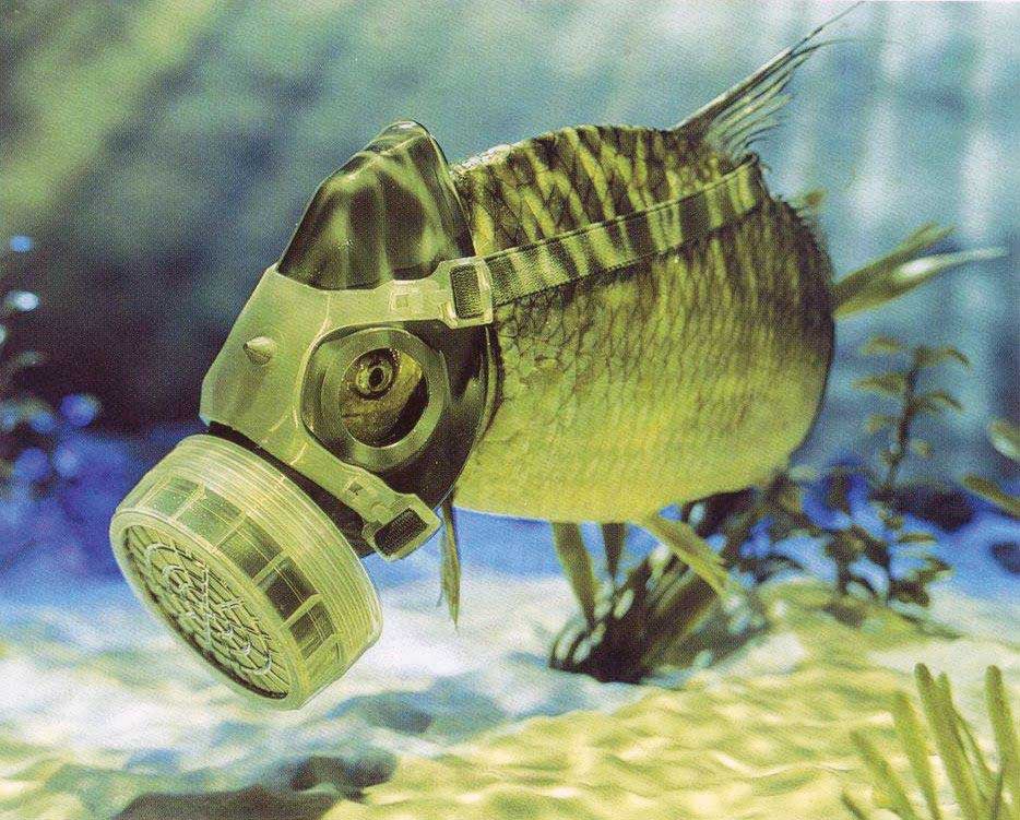 Fish with Respirator