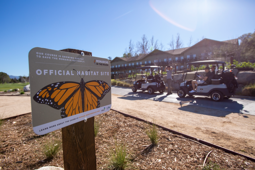 Location of one of the three recently planted butterfly habitats at Temecula Creek Golf Club.