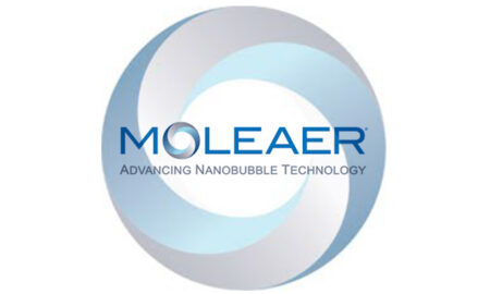 Moleaer