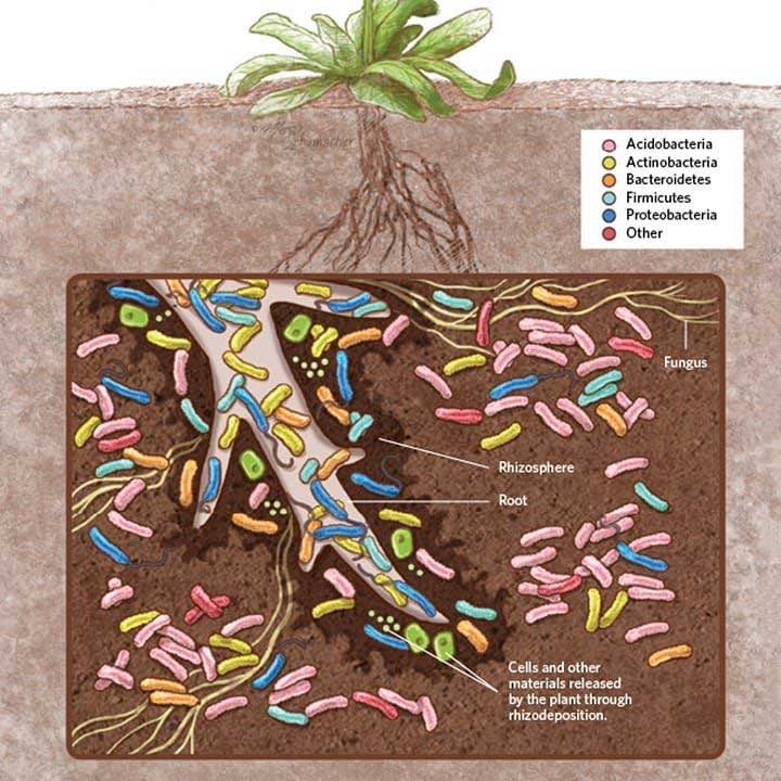 Finding ways to reduce pesticides