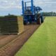 Grassmasters Sod Farms