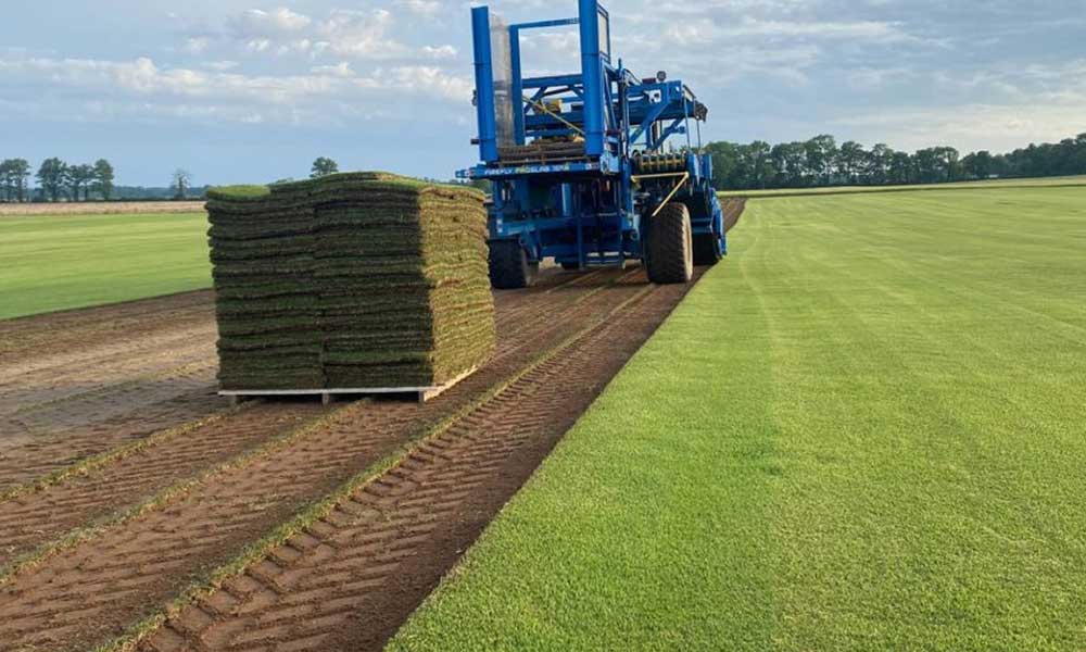 Grassmasters Sod Farms