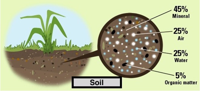 How does low DO water impact turf?  