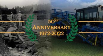 A Golden Anniversary for Simpson Sod