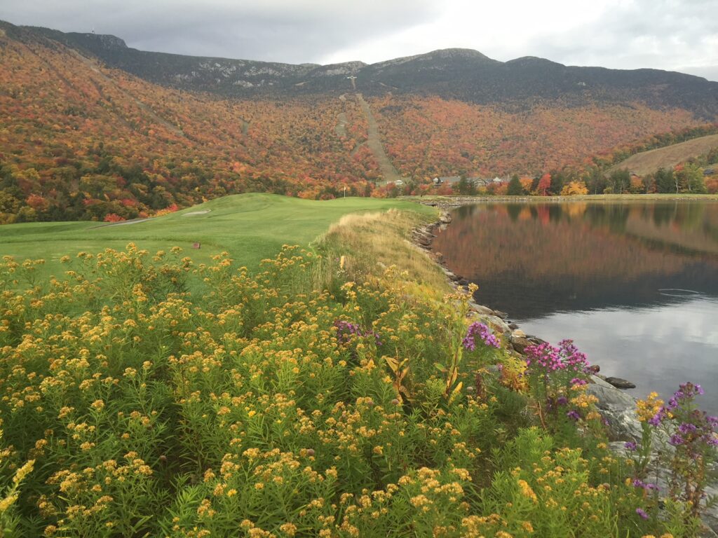 #6 Tee with Aster and Goldenrod - THE CLUB AT SPRUCE PEAK THE MOUNTAIN COURSE