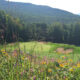 The Club at Spruce Peak The Mountain Course-Native Field on 16