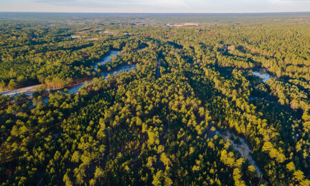 Natural ridgelines, intriguing landforms, towering longleaf pines, streams and ponds provide the landscape.