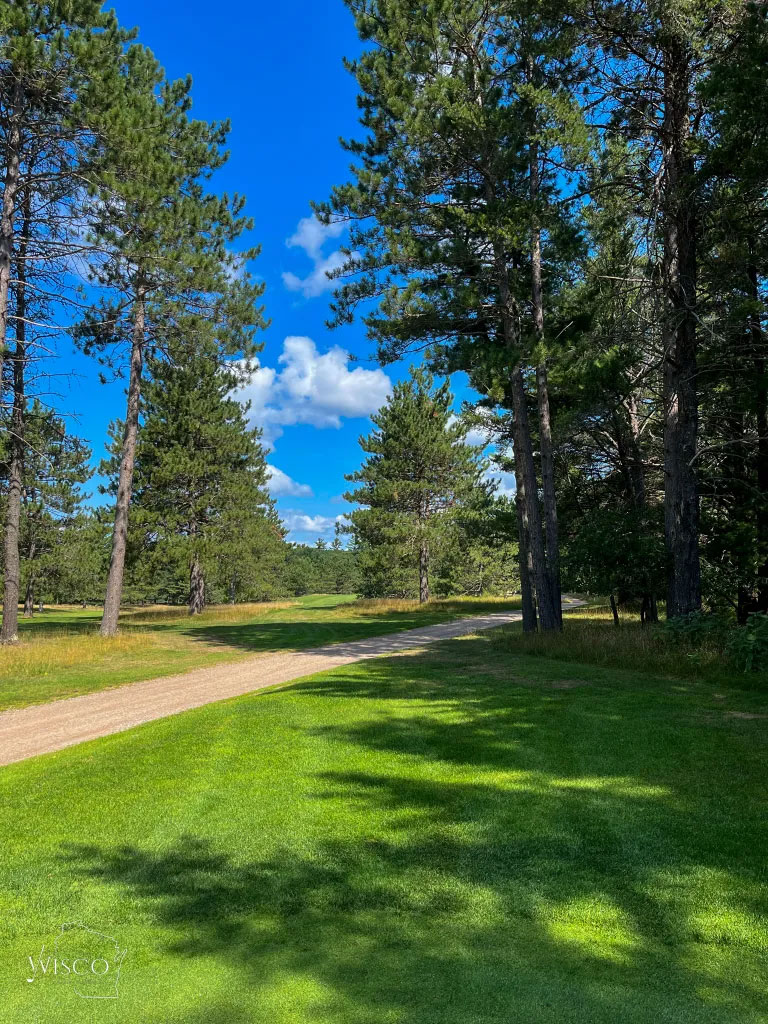 The view from the back tee on #8. See a fairway anywhere? Me neither.