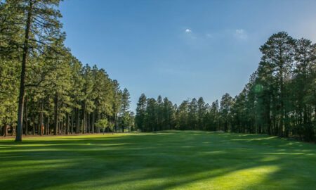 Pinetop Country Club