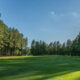 Pinetop Country Club