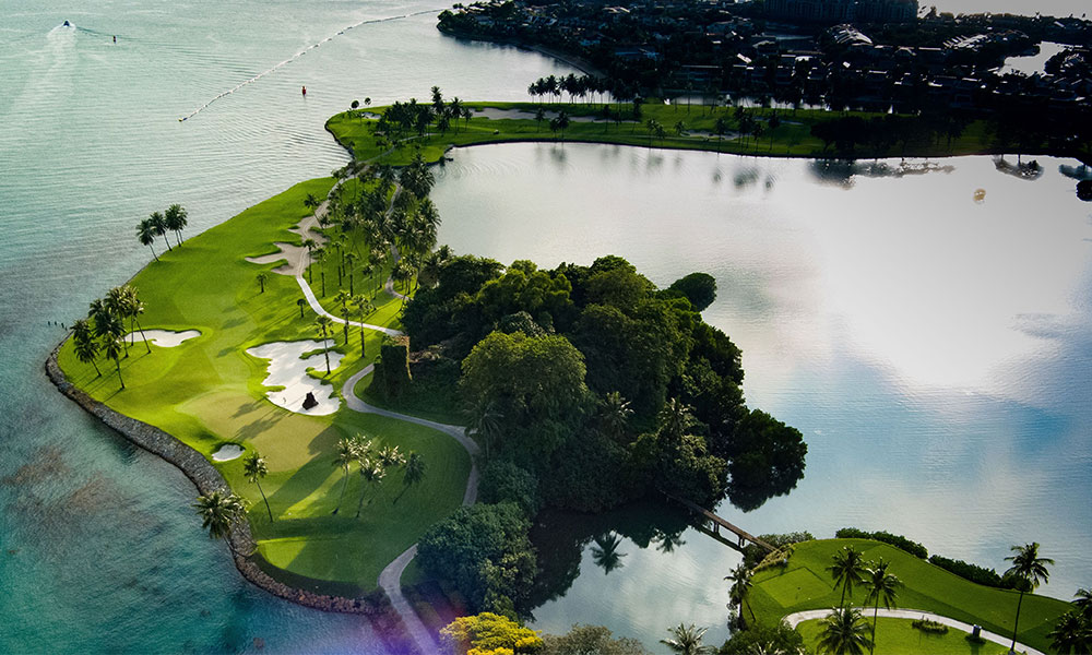 Along the edge of The Serapong Holes 4 and 6 lies Rhizophora Stylosa - a vulnerable Mangrove listed under the International Union for Conservation of Nature (IUCN) Red List of Threatened Species. It is located only in a few locations in Singapore, thriving at Sentosa Golf Club.