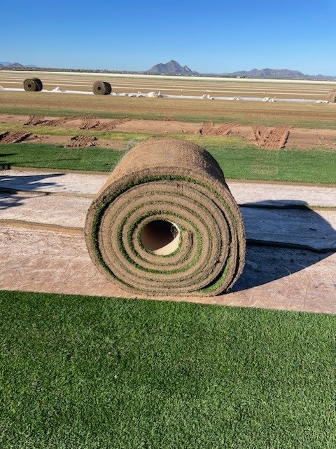 West Coast Turf Ready Play Grass