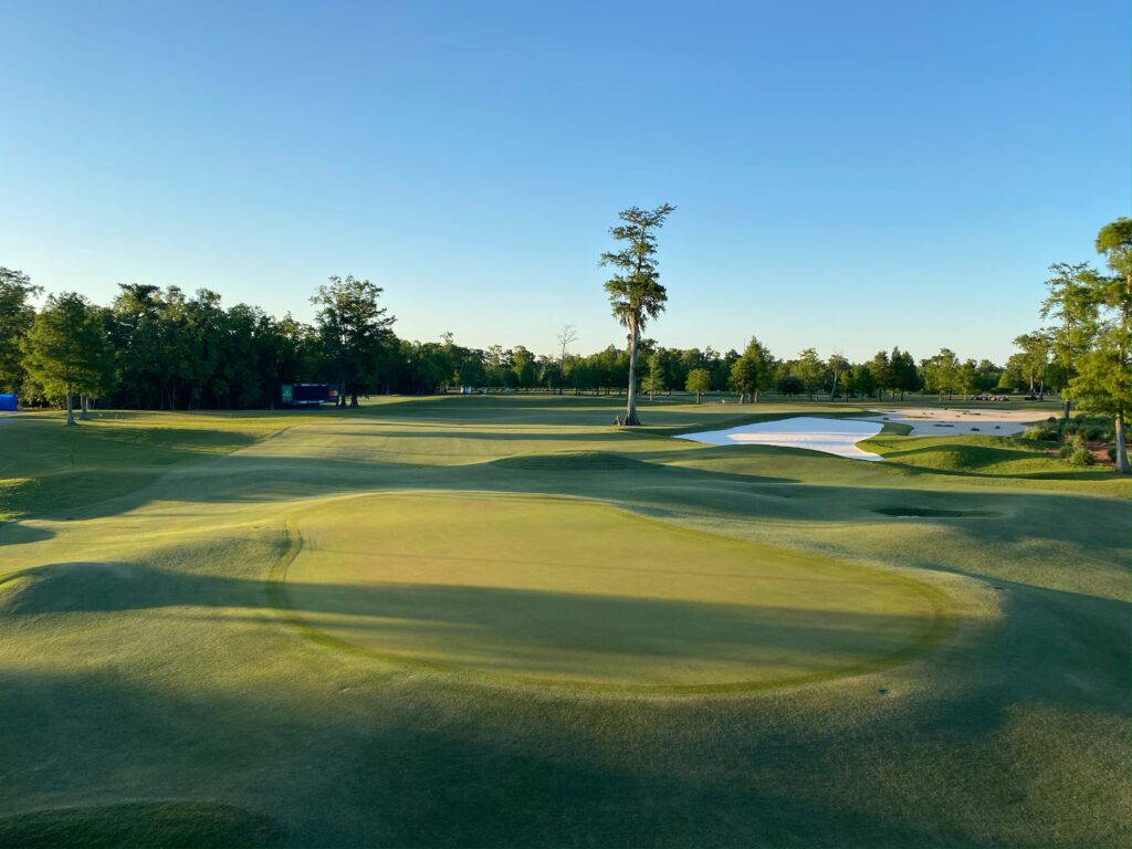 Celebration® Bermudagrass at TPC Louisiana.