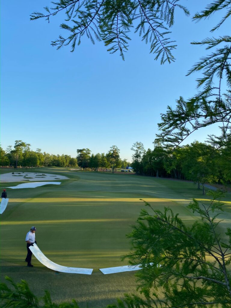 TPC Louisiana, Celebration Bermudagrass, Avondale