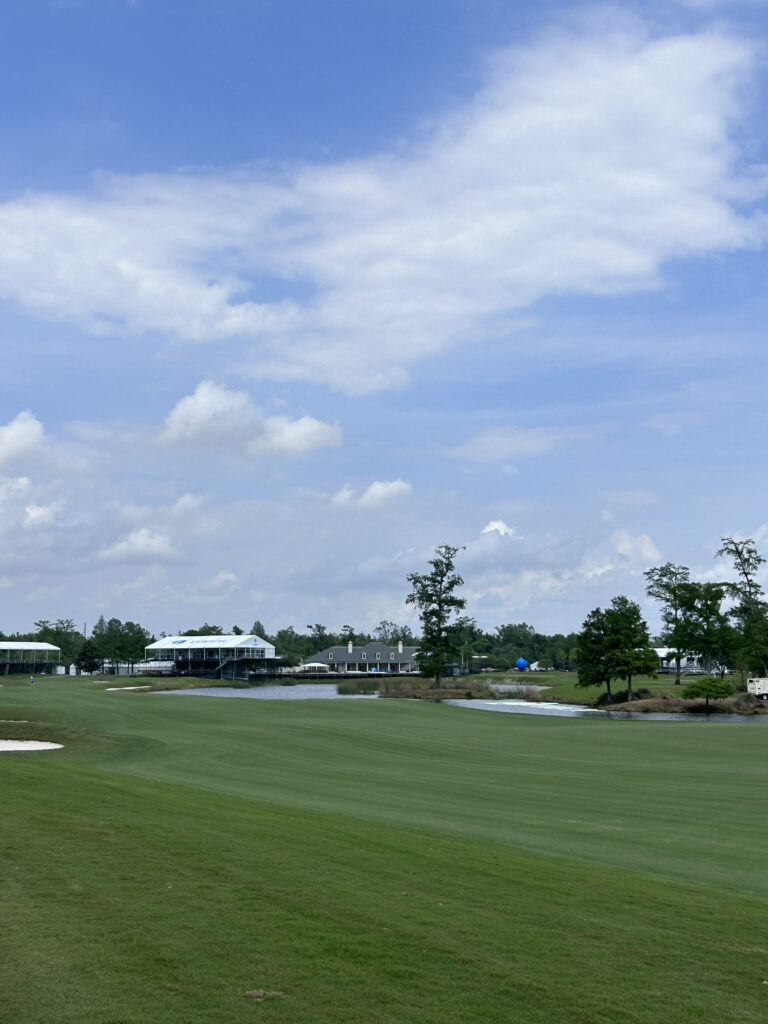 TPC Louisiana, Celebration Bermudagrass, Avondale