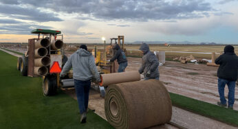 West Coast Turf Launches “Ready Play Grass®”