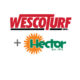 Wesco Turf/Hector Turf