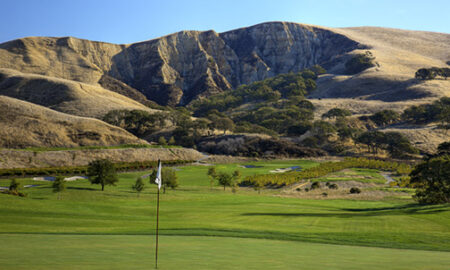 Course at Wente Vineyards