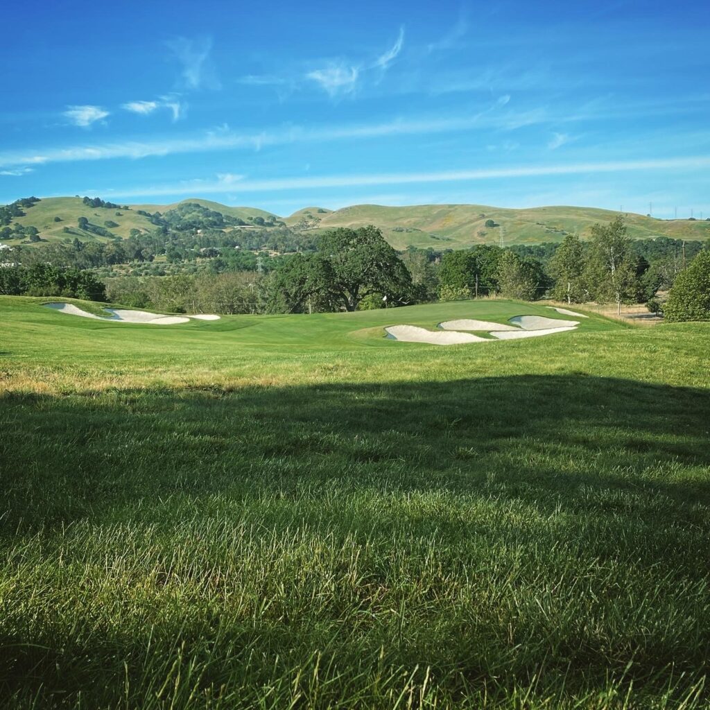 Hole #14 Course at Wente Vineyards