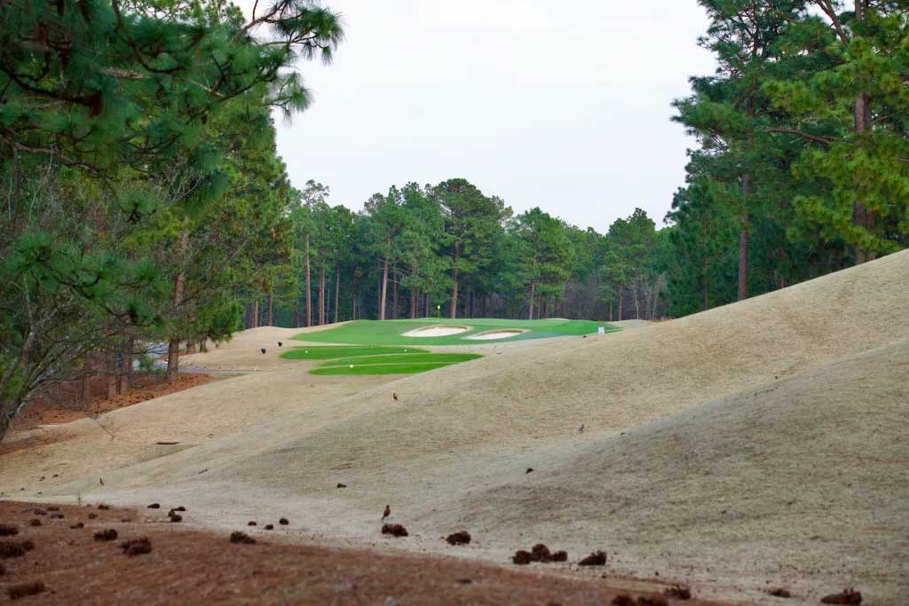 A glimpse through the pines at 13 green.