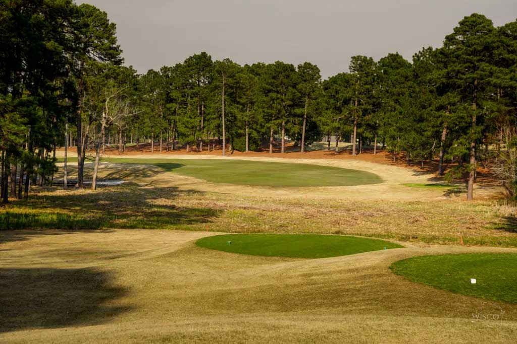 Tee box view of the 7th hole as it snakes to the left.