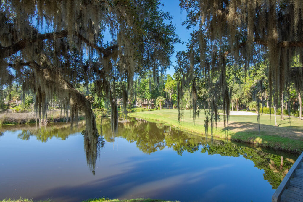 Moss Creek Golf Club  