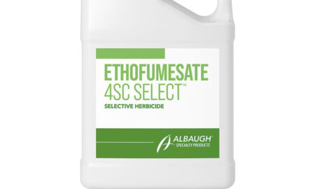 Ethofumesate 4SC Select™