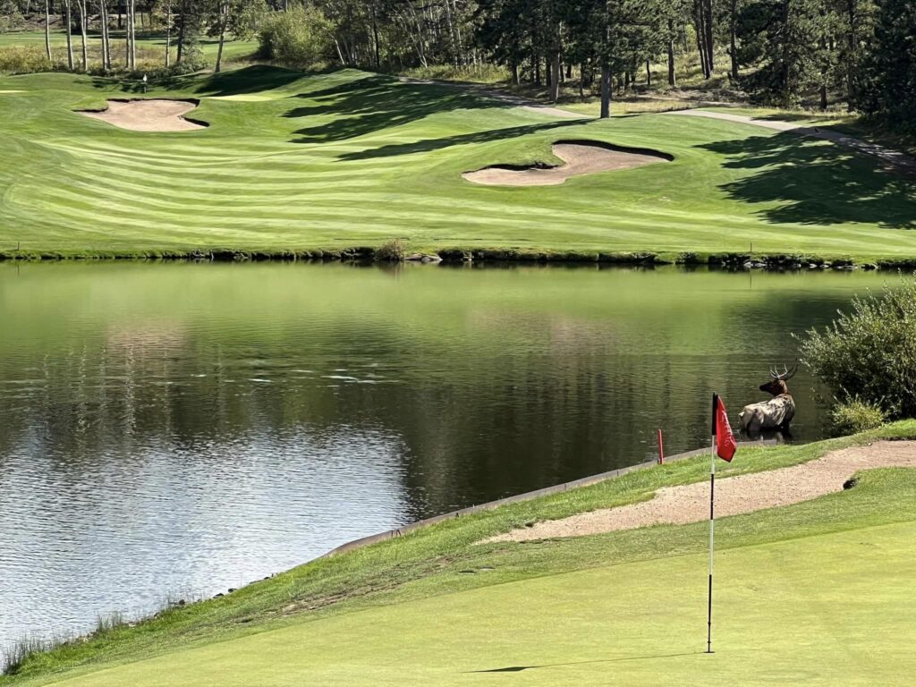 Landscapes Golf Management -- The Golf Club at Fox Acres Photo No. 1