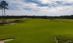 NorthBridge Bermudagrass at Palmetto Bluff