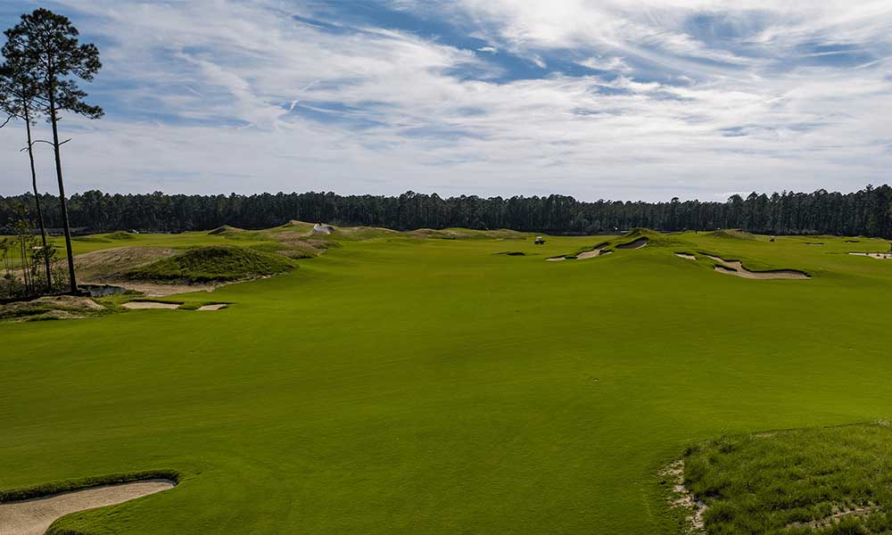 NorthBridge Bermudagrass at Palmetto Bluff