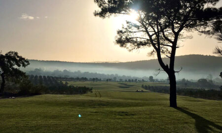 The dogleg par 4, 11th hole in and amongst the olive grove. Regnum Bodrum