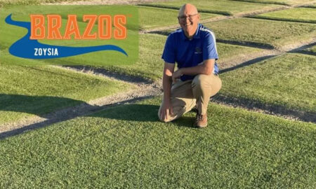 Brazos™ Zoysiagrass