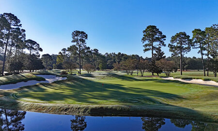 King’s North 8th Green