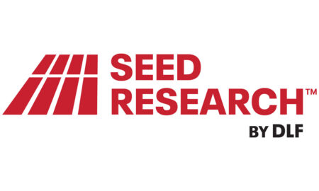 Seed Research by DLF