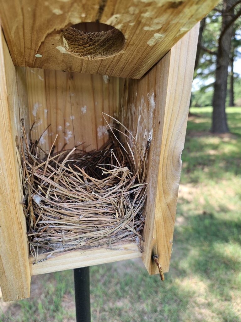 Bayville Birdbox