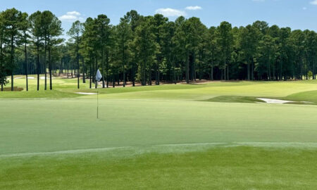 Mach 1 ultradwarf Bermudagrass on a green at Old Chatham Golf Club in Durham, North Carolina. Modern Turf photo