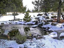 Diversified Waterscapes winter pond