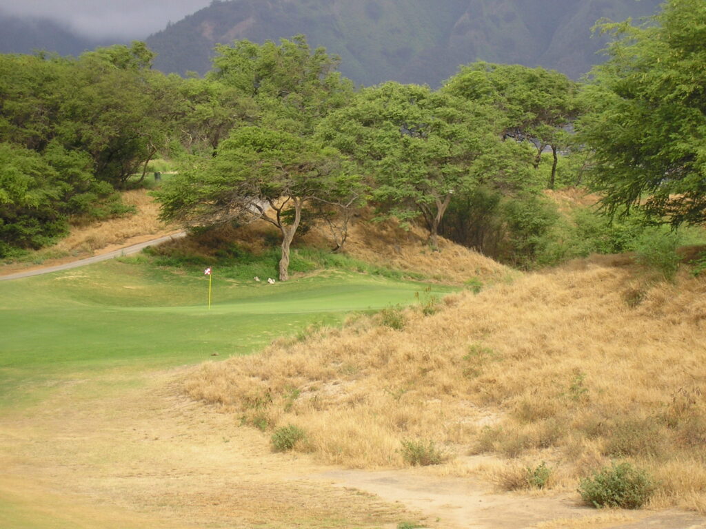 3rd Hole at the Dunes at Maui Lani