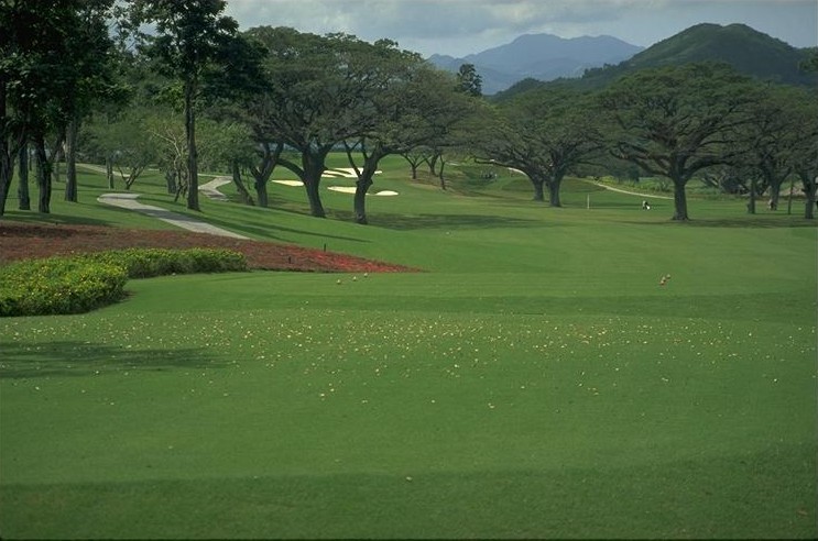 Mimosa Plus Golf Course after the Remodel