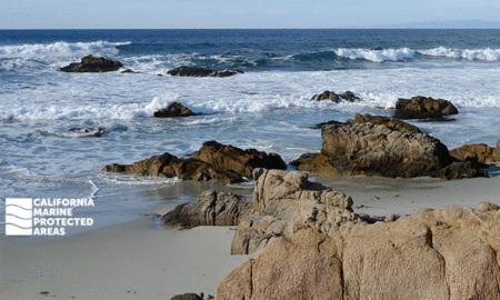 California Marine Protected Areas