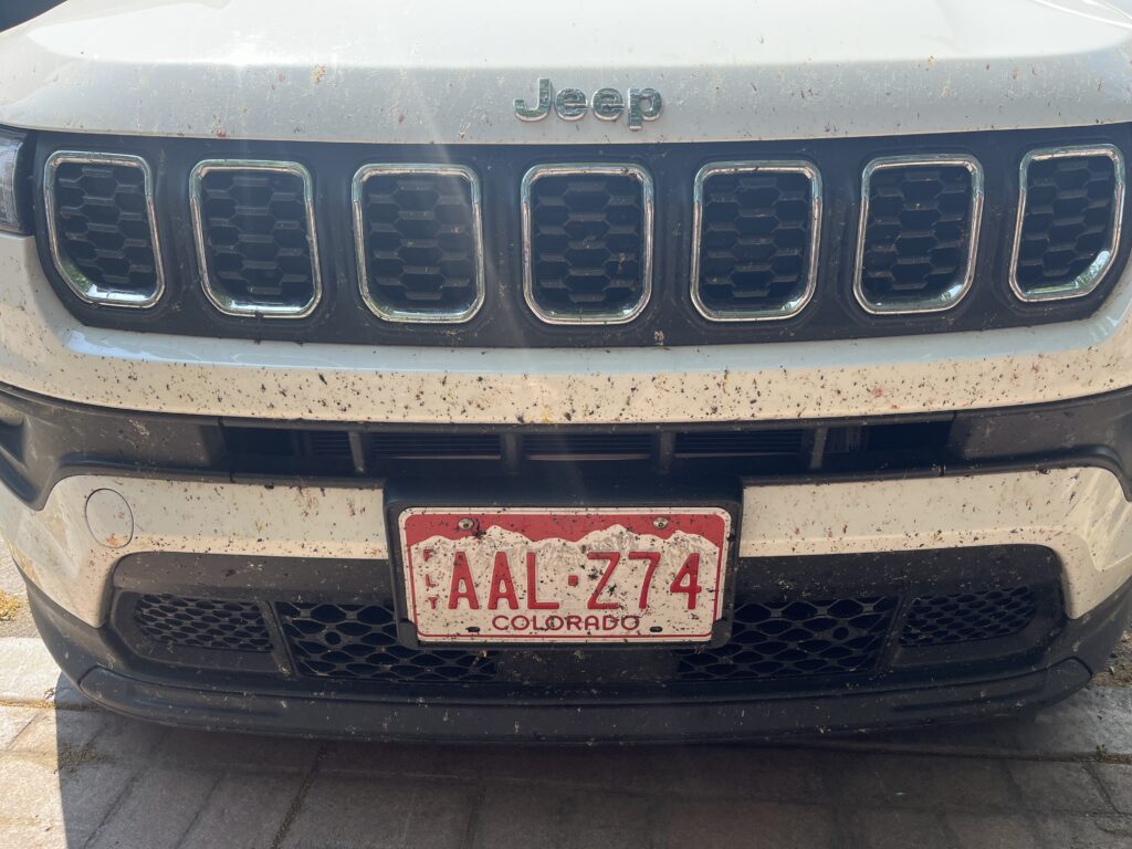 Bugs on Jeep