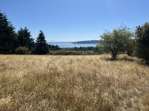 Puget Sound View from Dog Park