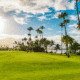St. Regis Bahia Beach Resort and Golf Club