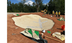 ZLine training at The Rose