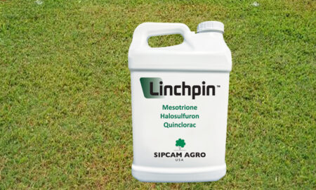 Linchpin™, Sipcam Agro’s patented new and novel herbicide