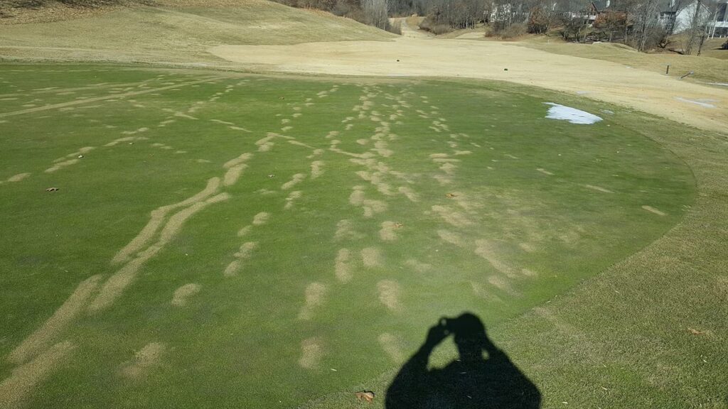 Effects of Walking on Bentgrass Greens during Frost Delays https://riversidegolflinks.com/frost-and-its-effects-on-bentgrass-greens/