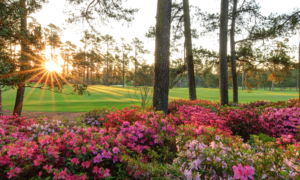 Augusta National Golf Club