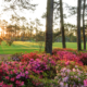 Augusta National Golf Club