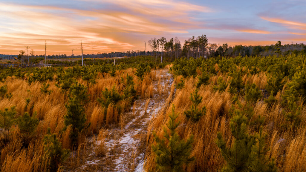 Candyroot Landscape 2 (Credit_ Billy Richards for Candyroot Lodge)